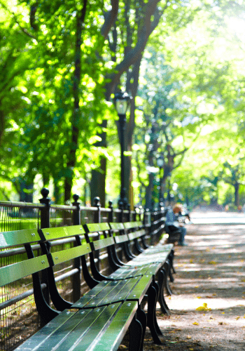 A row of park benches in the Bronx.